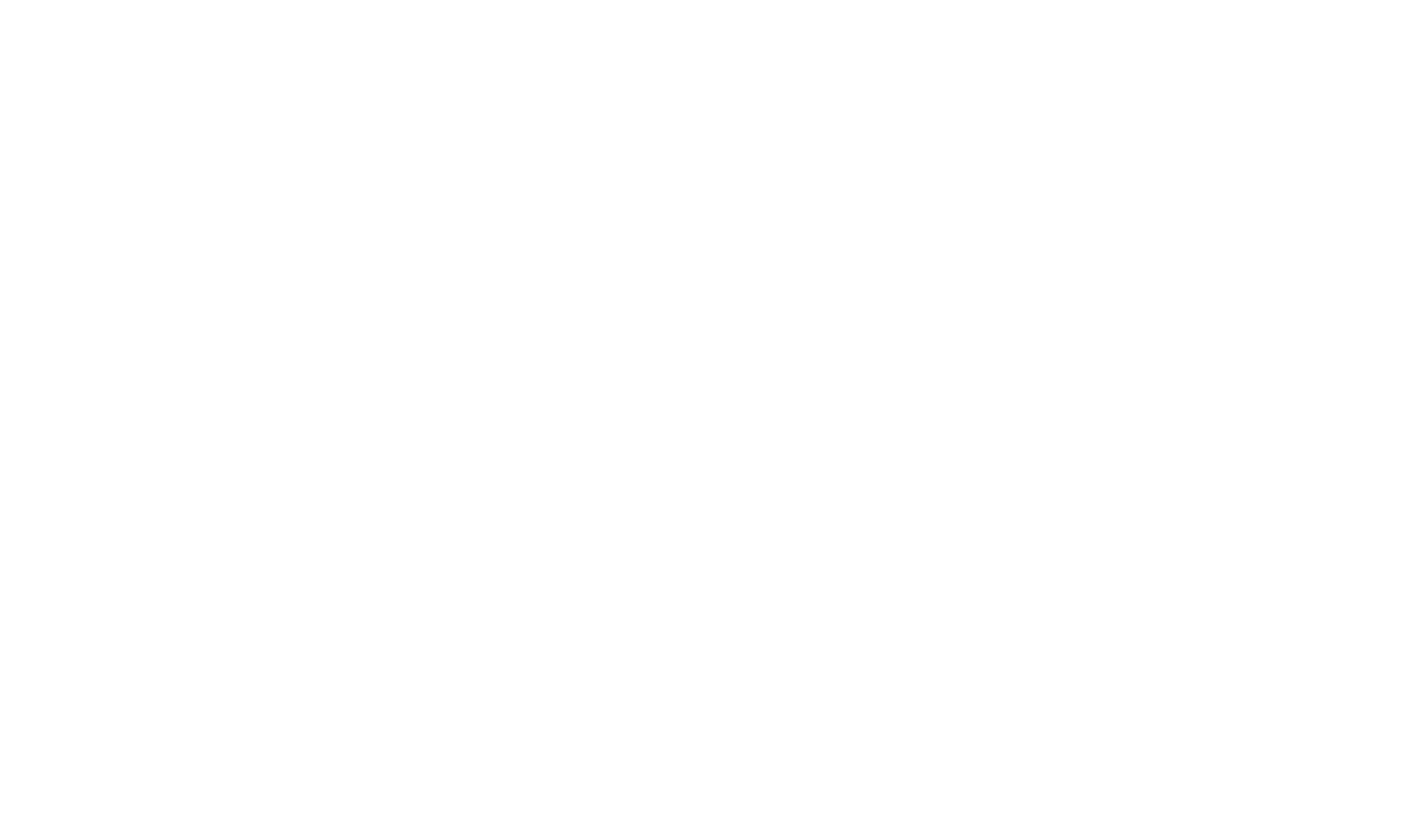 Turixon logo